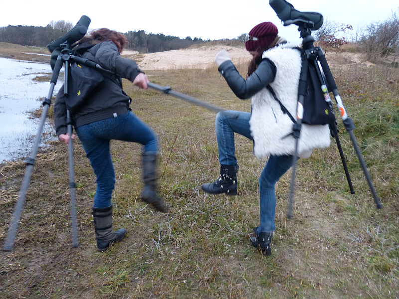 Scopac geeft je de vrije hand. Dutch Birding